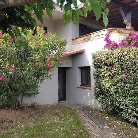 T2, Picculu - Jardin, Piscina, 4 Pers, Parking Apartament Porto-Vecchio (Corsica)