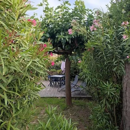Apartment F2 Avec Jardin U Picculu Acces Piscine Sporting Club Porto-Vecchio (Corsica)